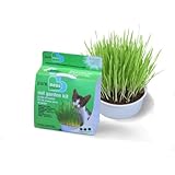 Pureness Oat Garden Kit, 1-Ounce