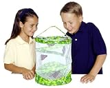 Live Butterfly Garden