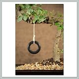 Joebonsai Bonsai Tree Tire Swing!