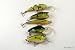 Lot of 5 Tennessee Shad Colored Fishing Lure Crankbaits for Bass and Trout