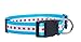 Chicago Flag Dog Collar (Large)