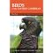Birds (Caribbean)