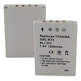 TOSHIBA GSC-BT5 BATTERY - LI-ION 1200mAh