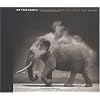 On This Earth: Photographs from East Africa