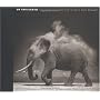 On This Earth: Photographs from East Africa