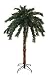 4' Pre-Lit Tropical Outdoor Summer Patio Palm Tree - Clear Lights