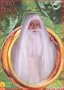 Halloween Costume Wizard Beard Wig Saruman Gandalf NEW