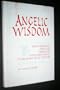 Angelic Wisdom: Cherubim & Grace Richard of St. Victorystudies Spirituality &/Theology V2 (Studies in Spirituality and Theology)