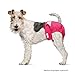 Paw Inspired Ultra Protection Washable Dog Diapers, Reusable, Female (3 Count, Small)
