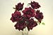 3 BURGUNDY Open Rose M.P Silk Flower Bushes Bouquets Artificial