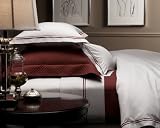 Pinzon 400-Thread-Count 100% Cotton Sateen Hotel Satin Stitch King Duvet, Bordeaux
