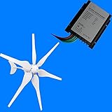 RISING 600W AC 24V Wind Turbine Generator 6 Blades Carbon Fiber With Wind Charge Controller