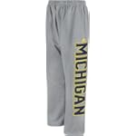 Michigan Wolverines adidas Grey Fleece Sweatpants $29.99