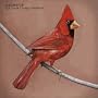 Old Crows/Young Cardinals