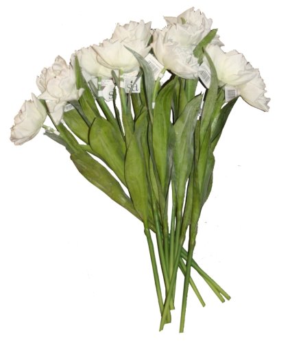 white tulips