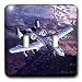 Jet - A-10 Wart Hog - Light Switch Covers - double toggle switch