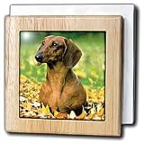 Smooth Dachshund - 6 Inch Tile Napkin Holder