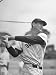 Baseball: Boston Red Sox Ted Williams Alone During Batting Practice Artists Premium Photographic Poster Print by Frank Scherschel, 18x24