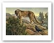 Curiosity by Kalon Baughan 24"x36" Art Print Poster
