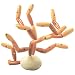 Balancing Coral Game and Puzzle