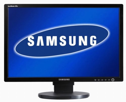Childrens Toyshop  Computer : Samsung SM245B 24" 5ms Black LCD Monitor