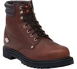 Men's Dickies Raider 6 Soft Toe