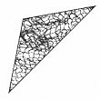 Gold Magic Cotton Triangle Veils Black