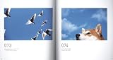 Camera People #2―Photographs by100People 画像