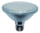 Dimmable LED PAR30 6W Flood Lamp (Replace up to 60W) Color: Warm White
