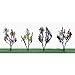 Flowering Plants Series: Flower Trees