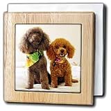 Poodle Puppys - 6 Inch Tile Napkin Holder