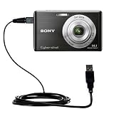 Classic Straight USB Cable for the Sony Cyber-shot DSC-W550 - uses Gomadic TipExchange Technology