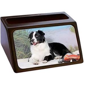 Border Collie Business Card Holder