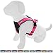 Pawtitas Reflective Dog Harness - Padded, Comfort Control for Walks or Running - Medium Pink
