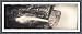 Historic Bridal Veil Falls Yosemite, California, c. 1915 Panorama, Elegant Black Antique, 10x23" S-F