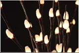 Light Garden 60 Lights Natural Pussy Willow 20