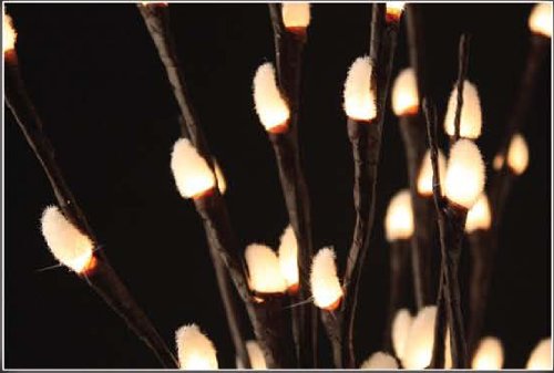 Light Garden 60 Lights Natural Pussy Willow 20-Electrical