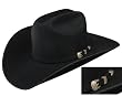 Resistol&reg; 4X Black Bison Spotter B Hat