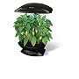 AeroGrow AeroGarden Deluxe with Master Gardener Deluxe Kit, Black