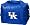 Kentucky Wildcats