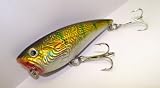 T 23 Topwater Shad Popper Chugger Crankbait Bass Fishing Lure 41tPVMJHUVL. SL160 T 23 Topwater Shad Popper Chugger Crankbait Bass Fishing Lure