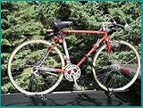 Sport Bike Carrier