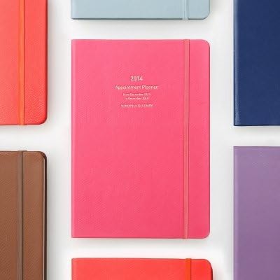 Monopoly 2014 Appointment Planner (A5 size) - Pistachio Blue