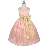 Sweet Kids Little Girl Pink Ivory Taffeta Sash Flower Girl Dress 6M-12