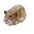 Go Go Hamster Pack - Mr Squiggles (One Supplied)