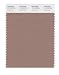 PANTONE SMART 17-1418X Color Swatch Card, Ginger Snap