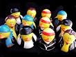 12 Motorcycle Biker Rubber Duckys