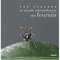 Le monde extraordinaire des fourmis