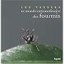 Le monde extraordinaire des fourmis