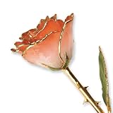Long Stem 24k Dipped Gold Trim White & Orange Rose With Gift Box